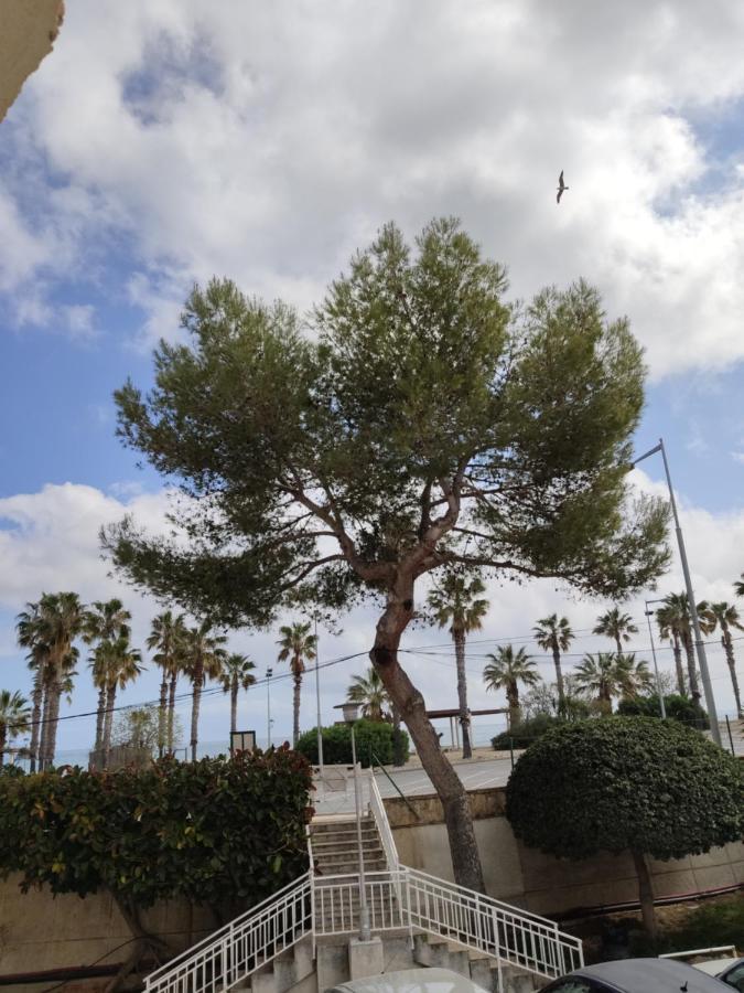 Apartamento Mare Nostrum Playa Arrabassada * Tarragone